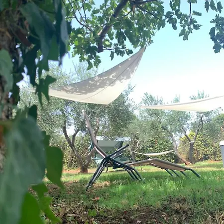 別荘 Trullo Sette Tindenule チステルニーノ