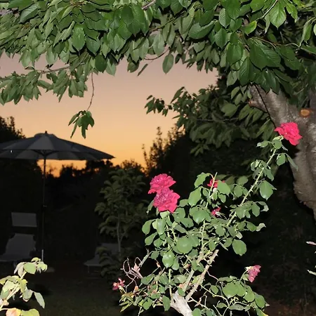 Holiday home Trullo Sette Tindenule Cisternino