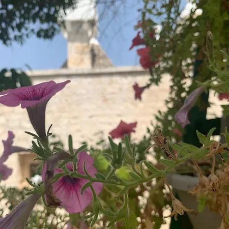 Trullo Sette Tindenule Holiday home *