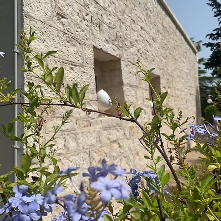 度假居 Trullo Sette Tindenule *
