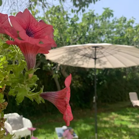 Trullo Sette Tindenule Holiday home Cisternino